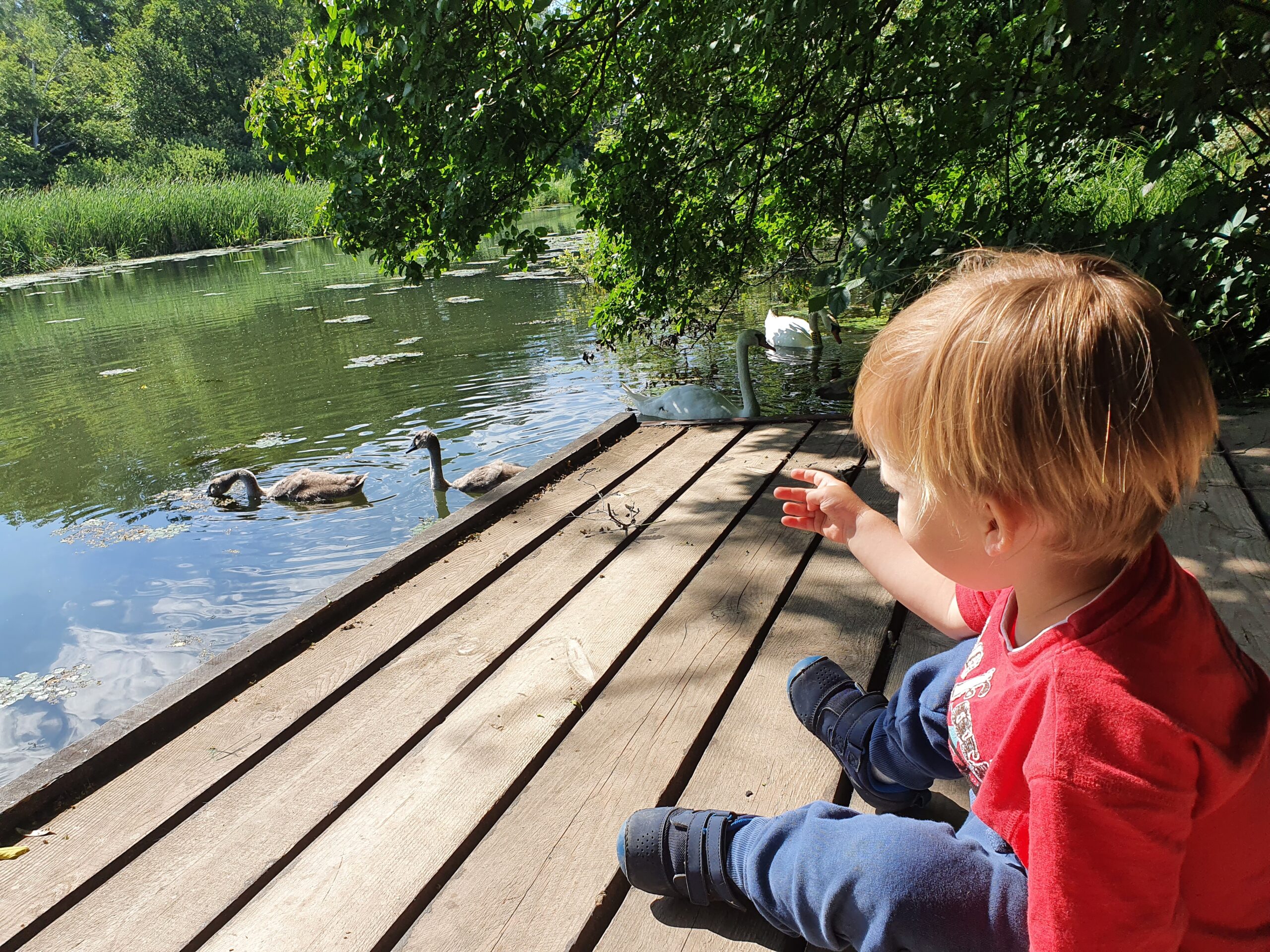 Kezdőoldal 20200624 092723