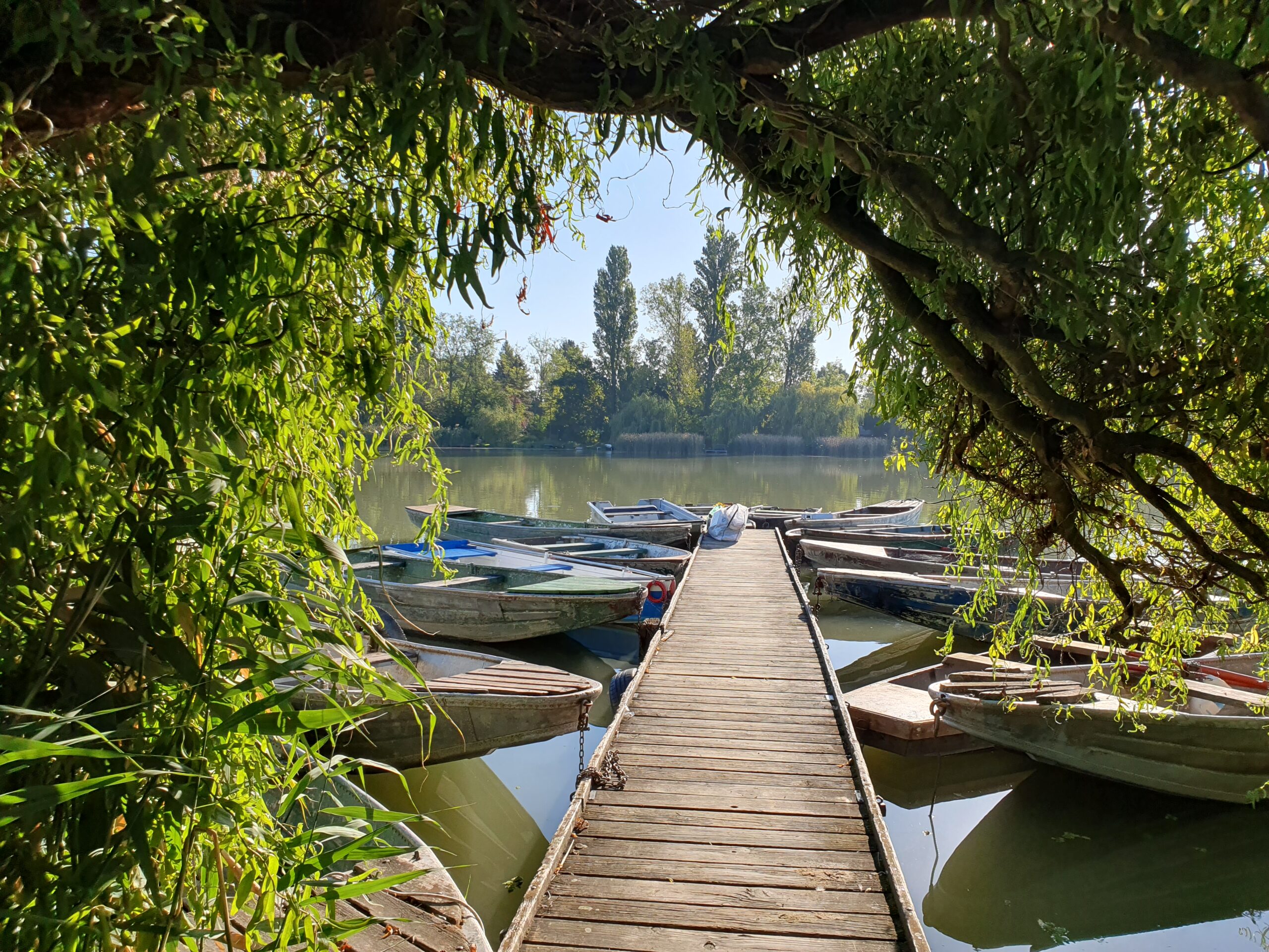 Kezdőoldal 20250919 083834