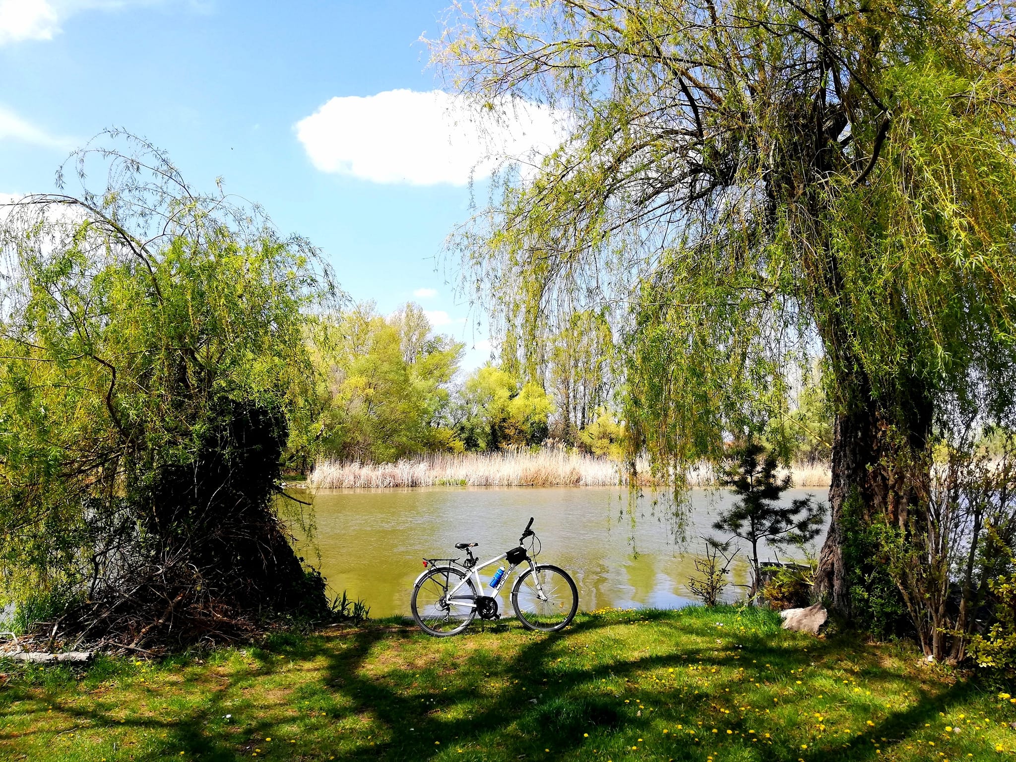 278727503 7256977997677636 6732041138148834283 n