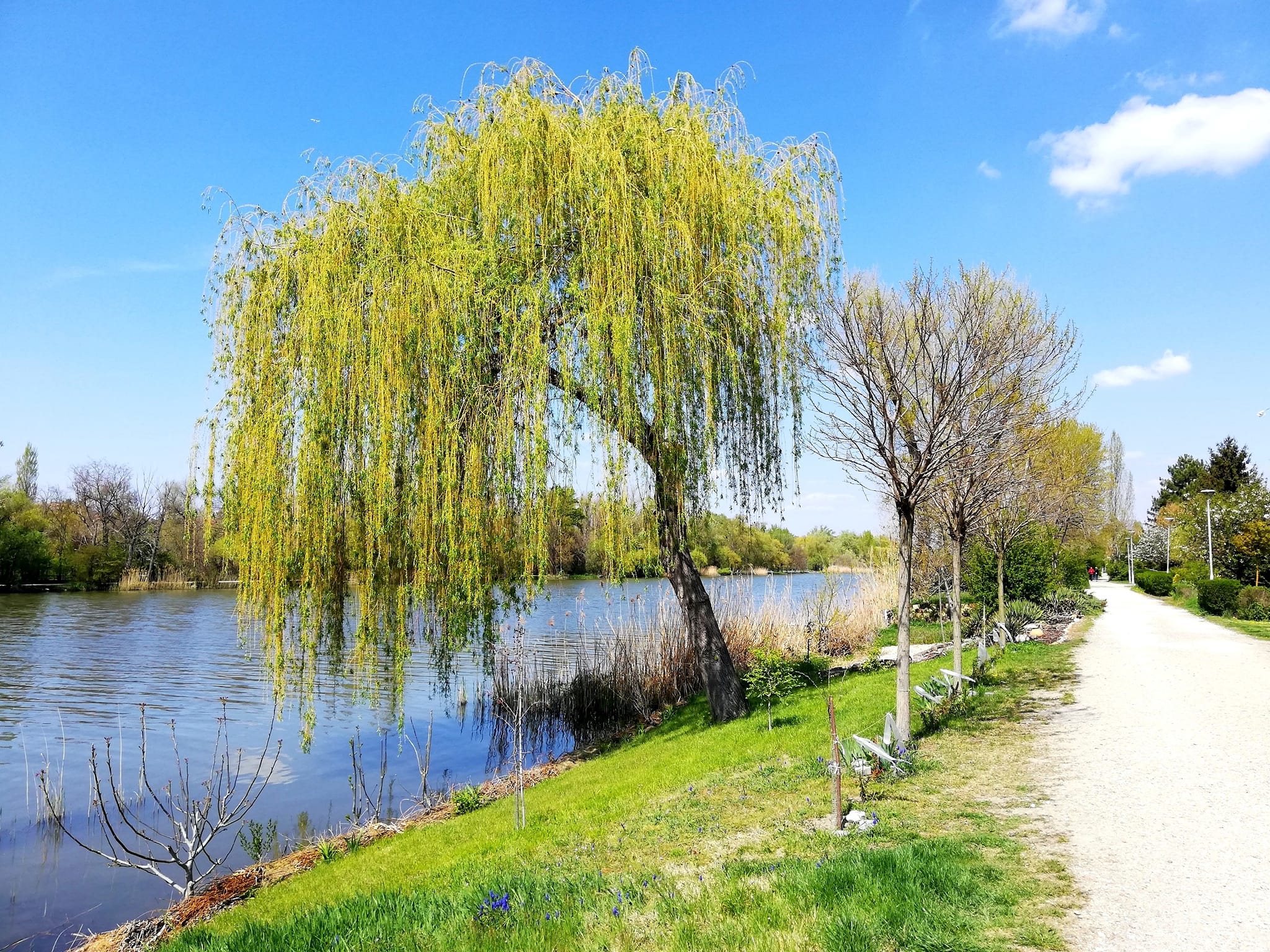 278729181 7256981607677275 2833068224296622112 n