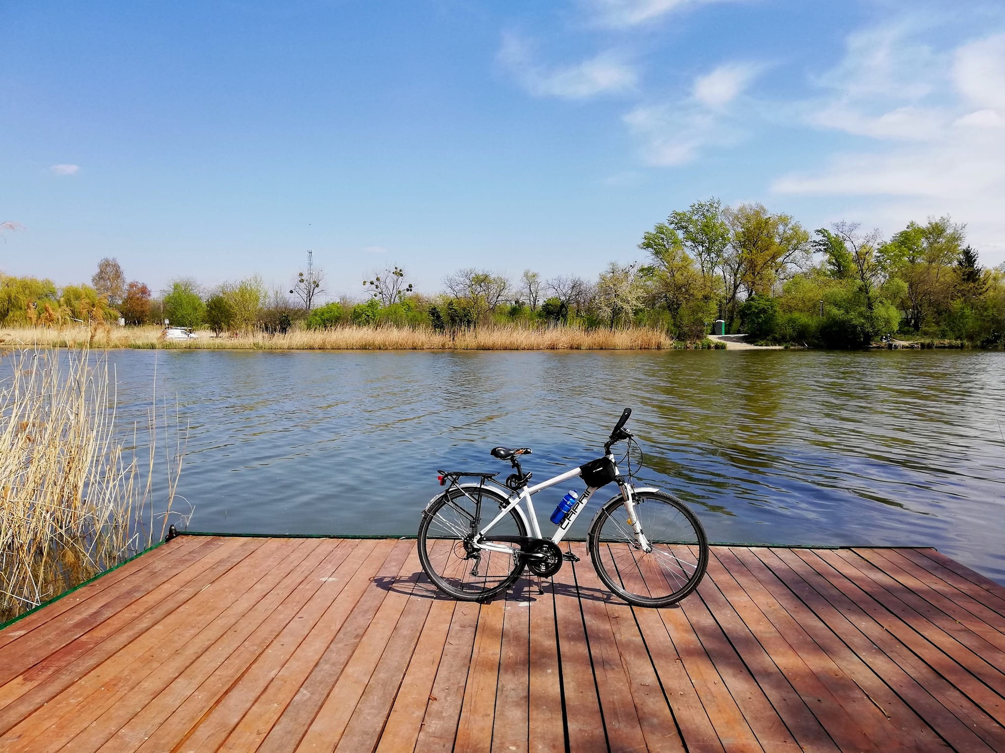 278732782 7257019421006827 22014040197035053 n